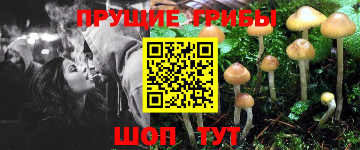 Псилоцибиновые грибы Magic Shrooms Советская Гавань